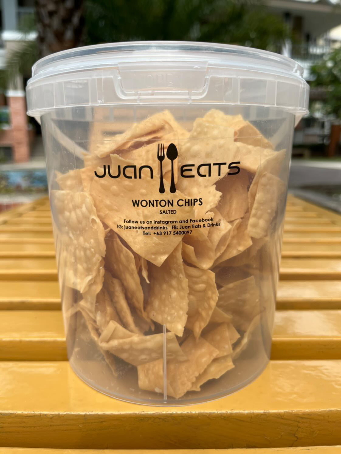 Wonton Chips
