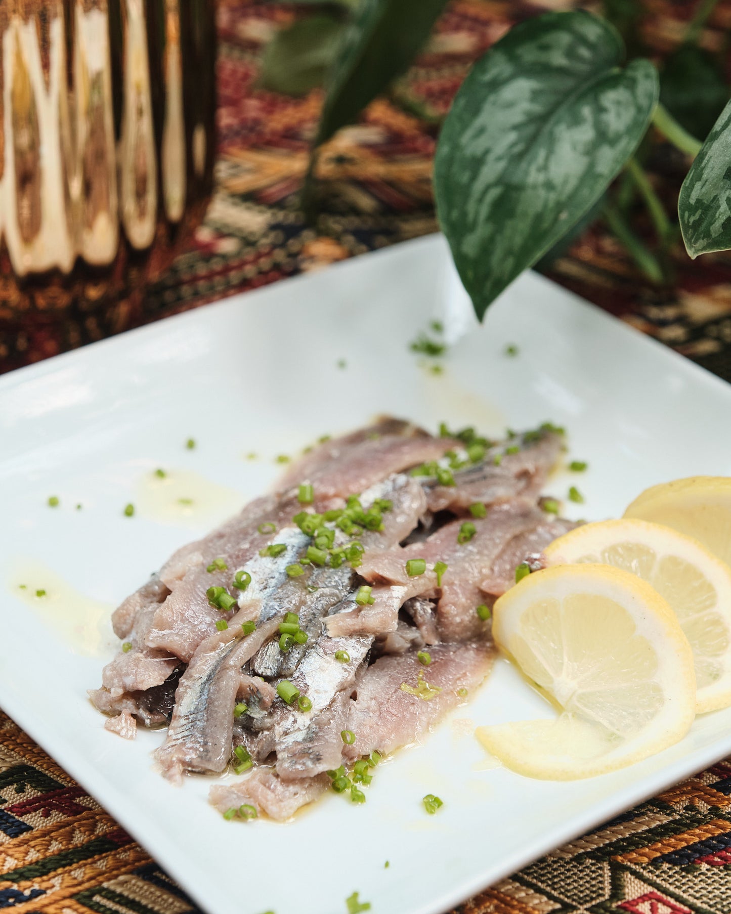 Fresh Anchovies